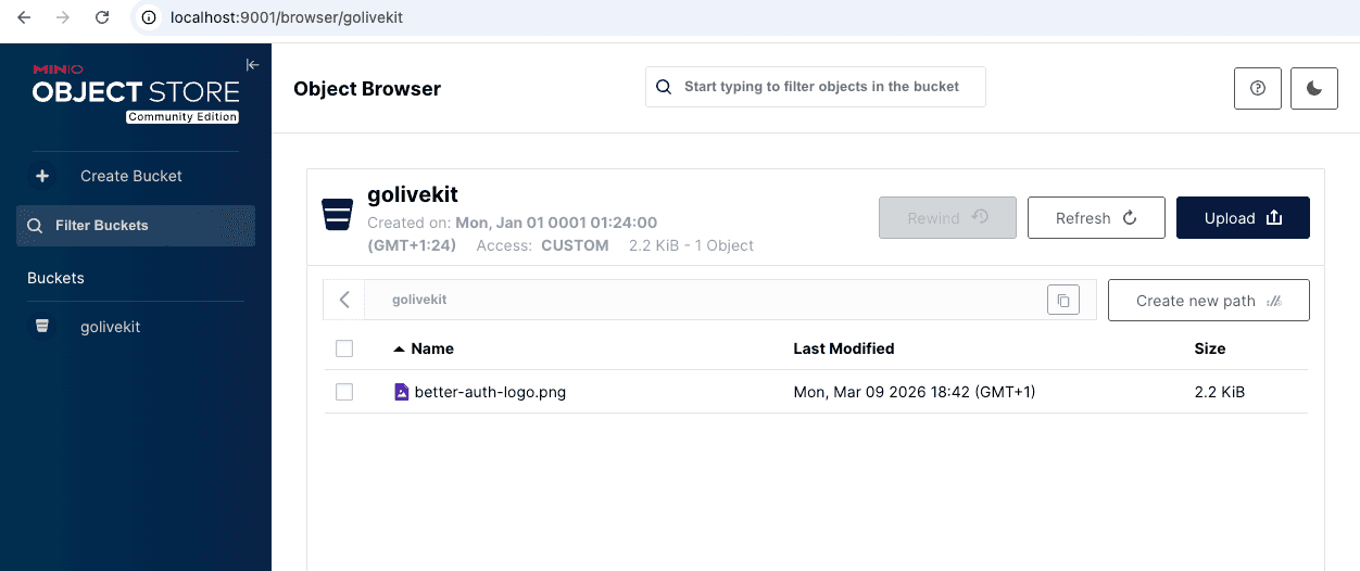 MinIO object browser